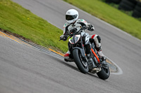 PJ-Motorsport-2019;anglesey-no-limits-trackday;anglesey-photographs;anglesey-trackday-photographs;enduro-digital-images;event-digital-images;eventdigitalimages;no-limits-trackdays;peter-wileman-photography;racing-digital-images;trac-mon;trackday-digital-images;trackday-photos;ty-croes